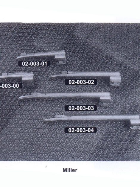 03-13-1.jpg